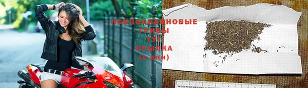 марки lsd Бородино