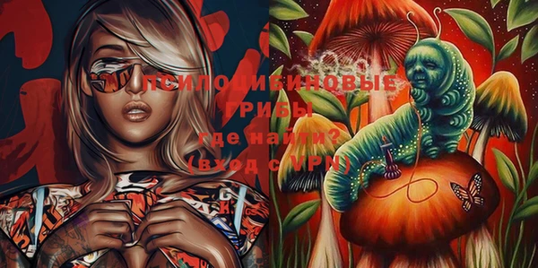молекула духа Балахна